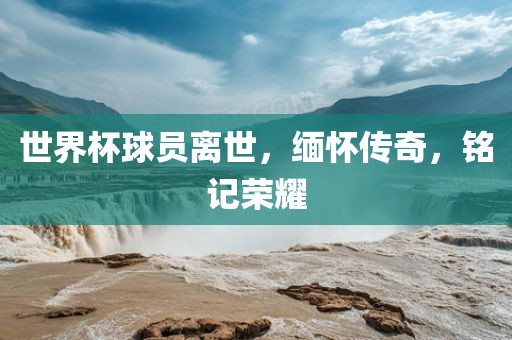 世界杯球员离世，缅怀传奇，铭记荣耀