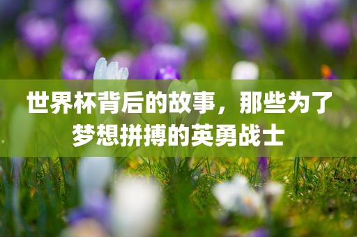 世界杯背后的故事，那些为了梦想拼搏的英勇战士