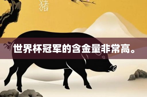 世界杯冠军的含金量非常高。