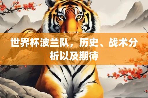 世界杯波兰队，历史、战术分析以及期待