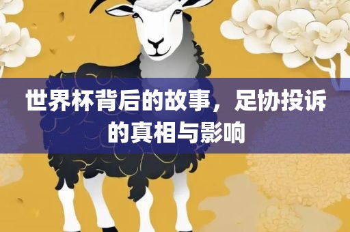 世界杯背后的故事，足协投诉的真相与影响