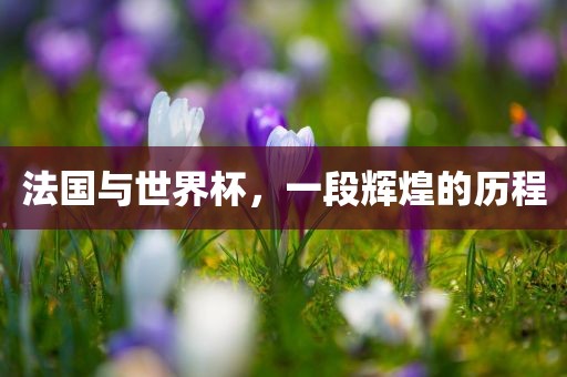 法国与世界杯，一段辉煌的历程