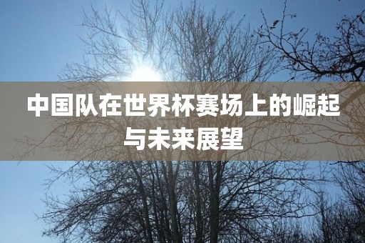 中国队在世界眉山市正发家政服务有限公司杯赛场上的崛起与未来展望