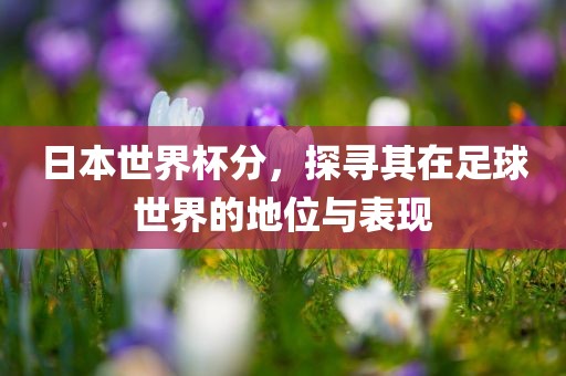 日本世界杯分，探寻其在足球世界的地位与表现