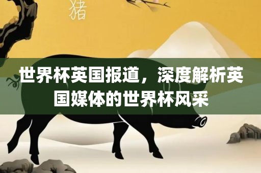 世界杯英国报道，深度解析英国媒体的世界杯风采