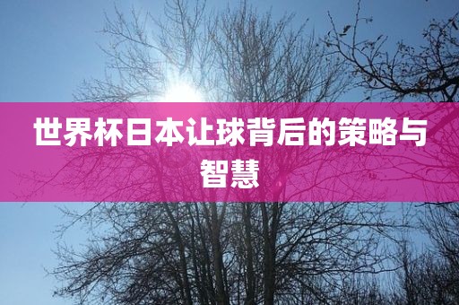 世界杯日本让球背后的策略与智慧