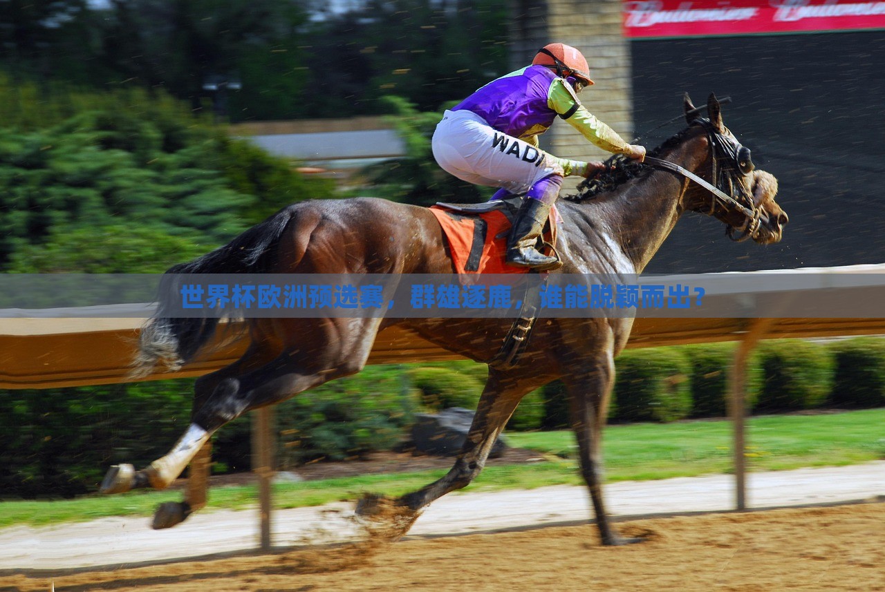 世界杯欧洲预选赛，群雄逐鹿，谁能脱颖而出？